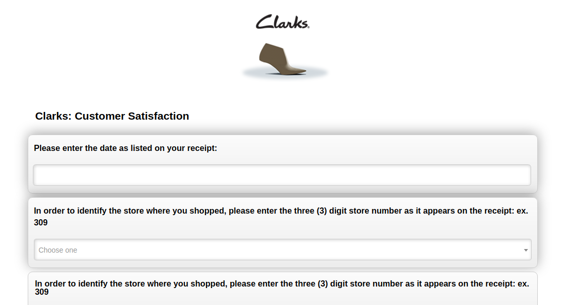 Clarks Shoes Survey